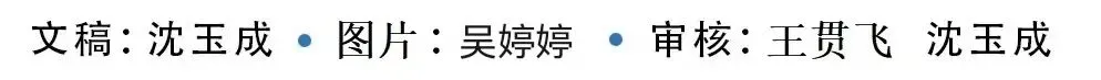 【助力中考】2026年中考历史考前指导-第8张图片-四季读书网