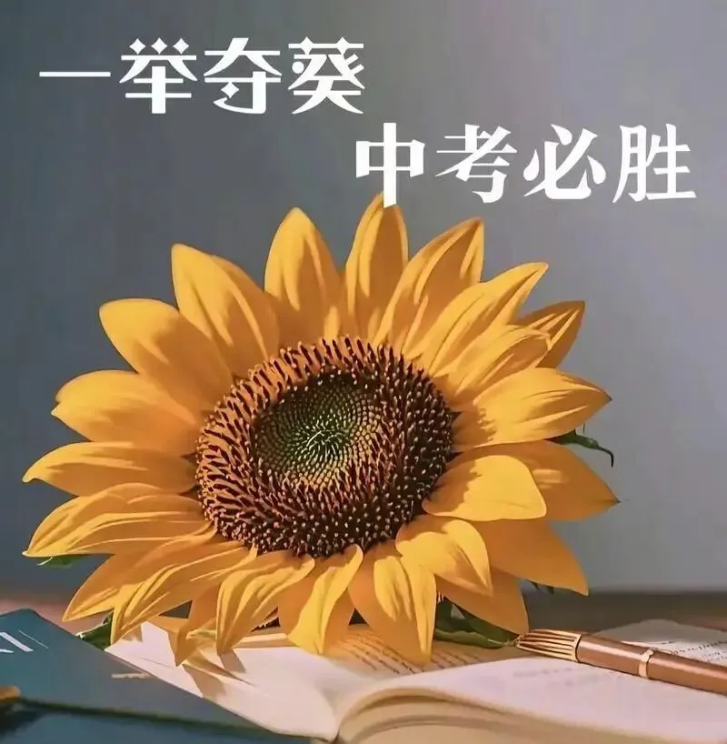 22篇中考英语写作范文涵盖近年热点话题(文末有word版下载打印方法)-第1张图片-四季读书网