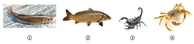 2026年中考生物终极押题卷5份-第7张图片-四季读书网