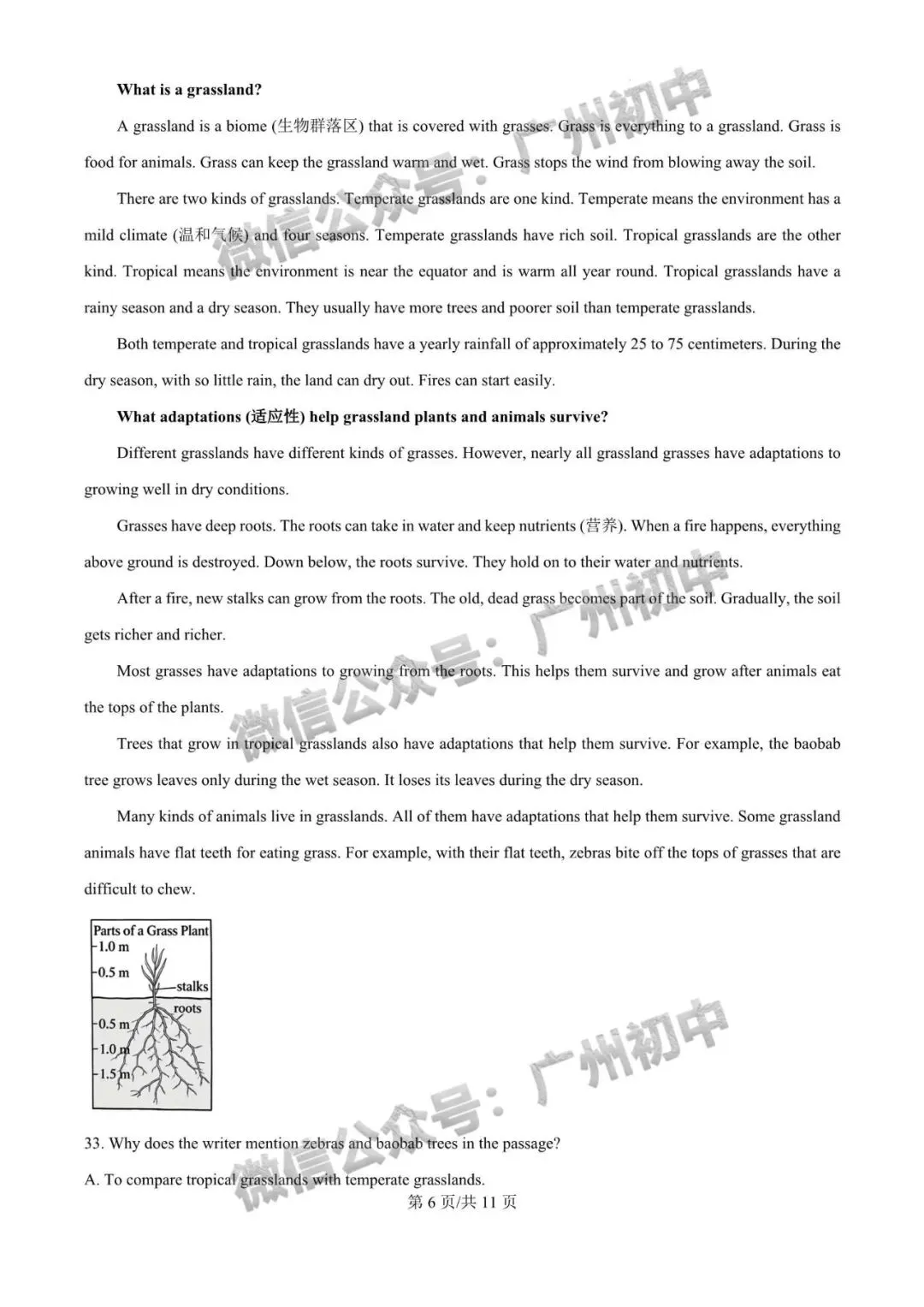 2026年番禺区中考二模试题及答案大汇总!(全科)-第44张图片-四季读书网 2026年番禺区中考二模试题及答案大汇总!(全科)-第44张图片-四季读书网