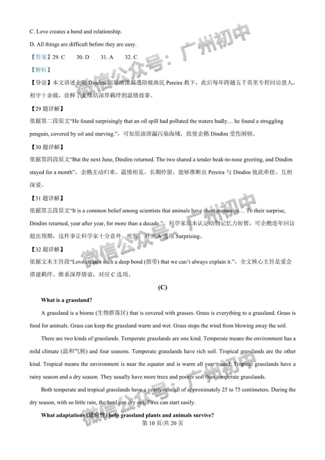 2026年番禺区中考二模试题及答案大汇总!(全科)-第59张图片-四季读书网 2026年番禺区中考二模试题及答案大汇总!(全科)-第59张图片-四季读书网