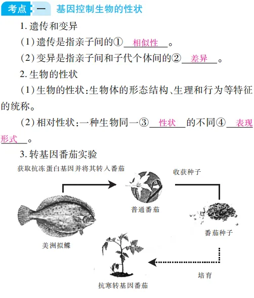 中考魔方丨生物·生物的遗传和变异-第4张图片-四季读书网 中考魔方丨生物·生物的遗传和变异-第4张图片-四季读书网