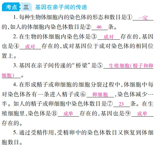 中考魔方丨生物·生物的遗传和变异-第7张图片-四季读书网 中考魔方丨生物·生物的遗传和变异-第7张图片-四季读书网