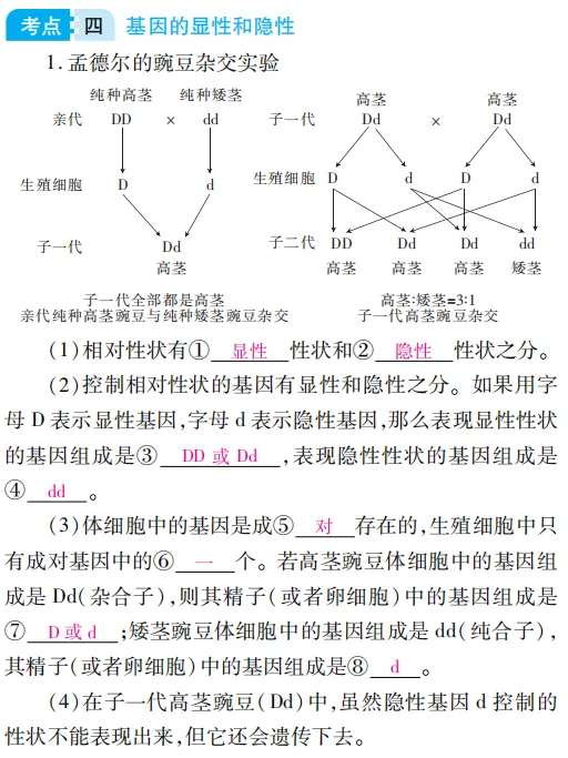 中考魔方丨生物·生物的遗传和变异-第8张图片-四季读书网 中考魔方丨生物·生物的遗传和变异-第8张图片-四季读书网