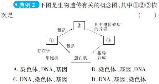 中考魔方丨生物·生物的遗传和变异-第12张图片-四季读书网 中考魔方丨生物·生物的遗传和变异-第12张图片-四季读书网
