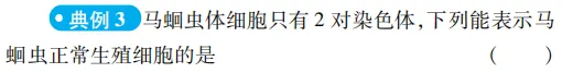 中考魔方丨生物·生物的遗传和变异-第14张图片-四季读书网 中考魔方丨生物·生物的遗传和变异-第14张图片-四季读书网