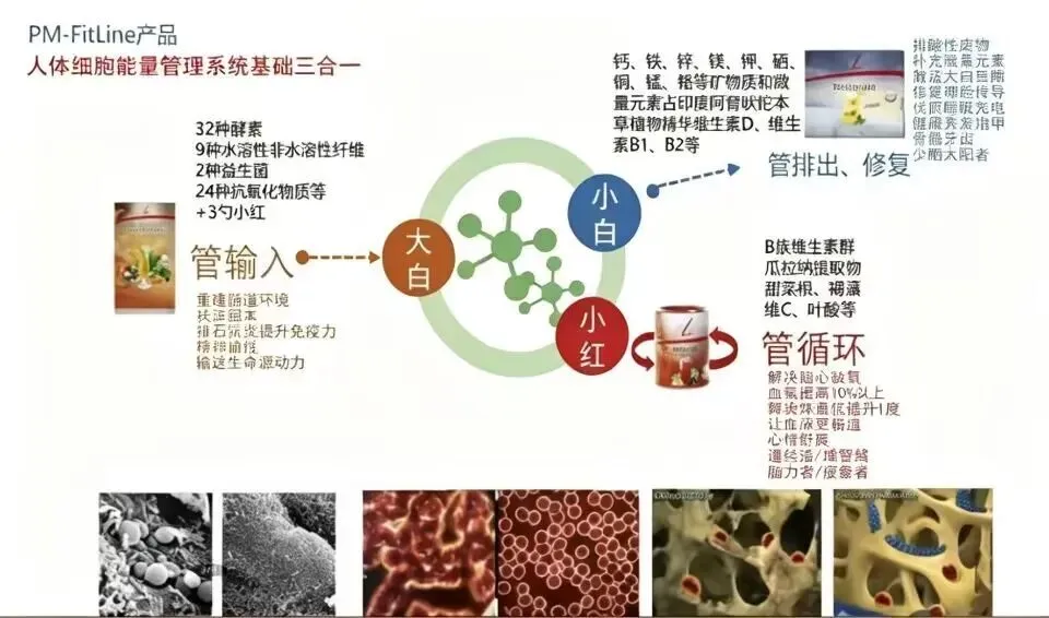 中考高考前90%父母漏掉的一件至关重要的事是什么?-第8张图片-四季读书网 中考高考前90%父母漏掉的一件至关重要的事是什么?-第8张图片-四季读书网