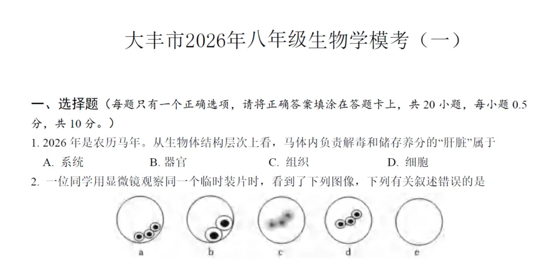 【大丰】生物中考123模拟试卷+答案(26年6月)-第2张图片-四季读书网 【大丰】生物中考123模拟试卷+答案(26年6月)-第2张图片-四季读书网