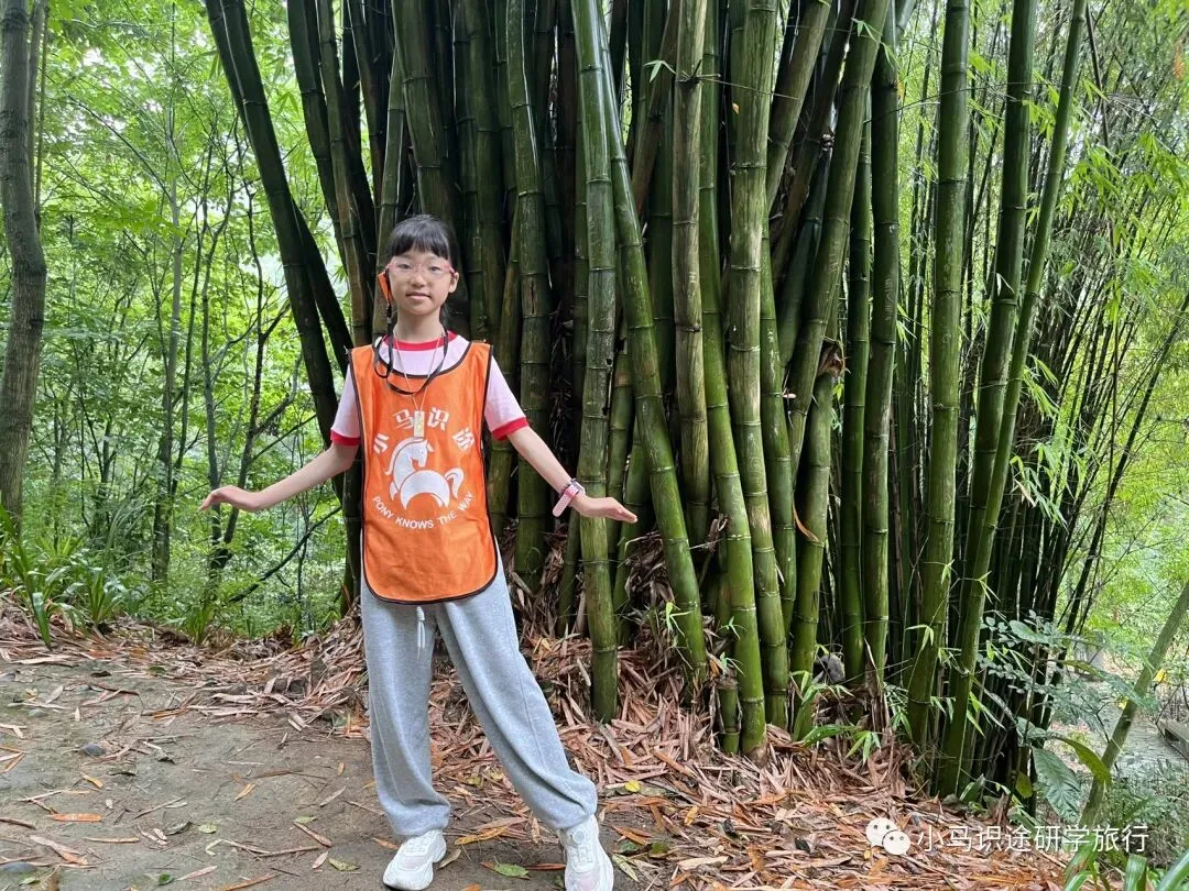 【中考假长途研学】印象成都|三星堆+考古基地+大熊猫保护中心+都江堰+都江堰古城夜景+汶川+杜甫草堂+武侯祠+川菜博物馆+川剧变脸-第18张图片-四季读书网 【中考假长途研学】印象成都|三星堆+考古基地+大熊猫保护中心+都江堰+都江堰古城夜景+汶川+杜甫草堂+武侯祠+川菜博物馆+川剧变脸-第18张图片-四季读书网