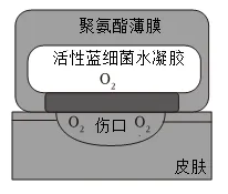 2026年鄂伦春自治旗初中生物学业水平考试第二次模拟卷-第2张图片-四季读书网