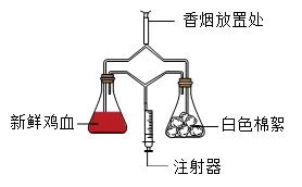 2026年鄂伦春自治旗初中生物学业水平考试第二次模拟卷-第3张图片-四季读书网