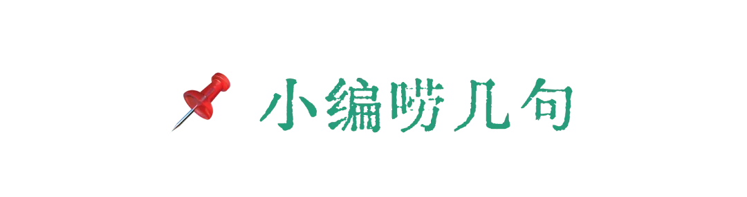 2025上海中考名额分配到区分数线(16区完整版),记得收藏-第3张图片-四季读书网
