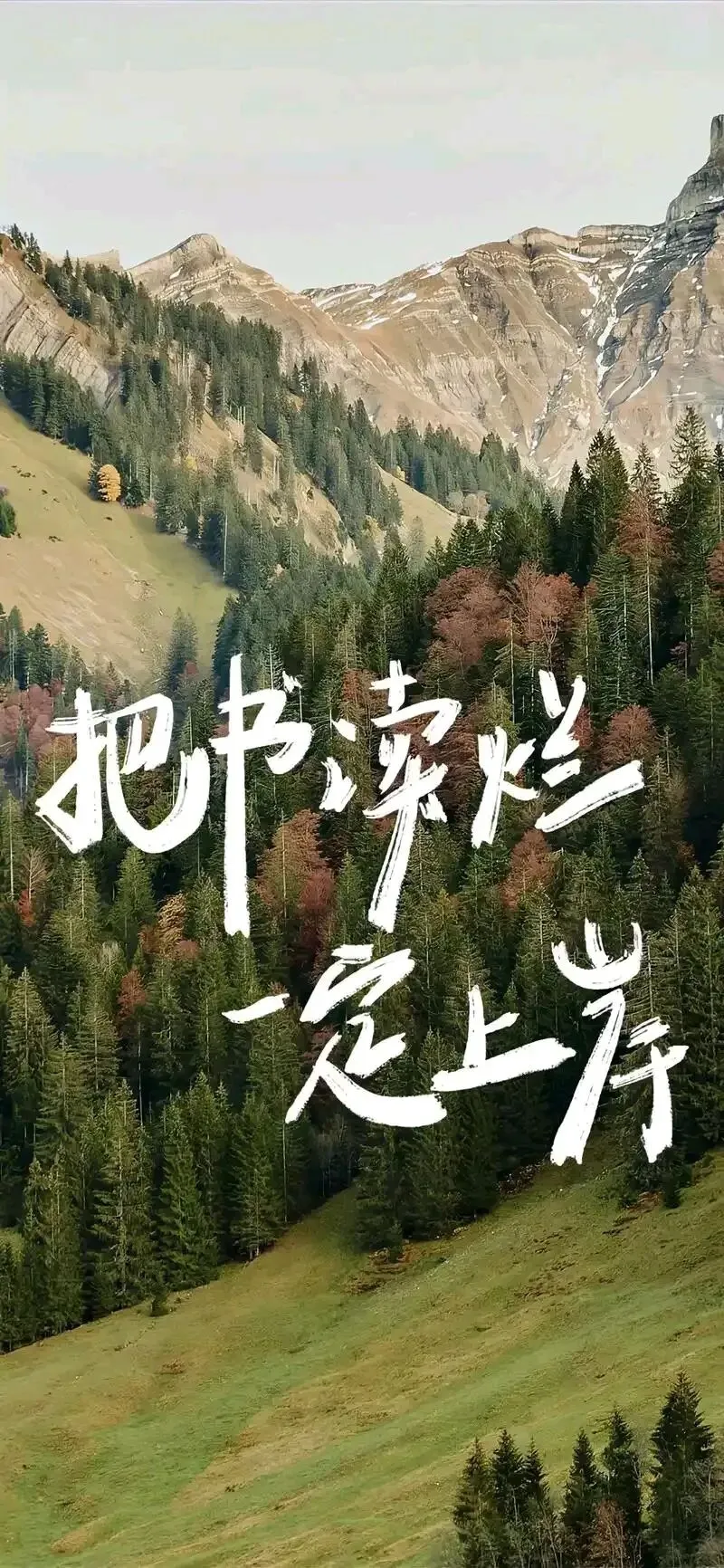 高考语文试卷l,作文审题与例文-第4张图片-四季读书网