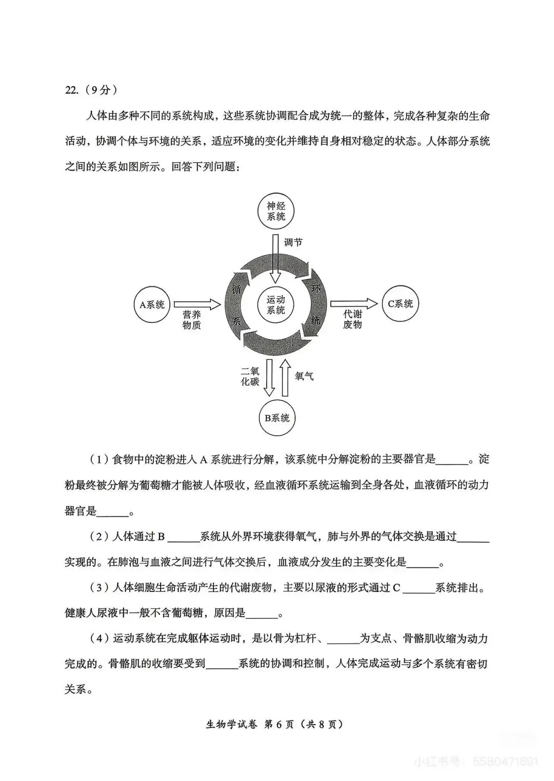 2026年成都市生物中考试卷-第6张图片-四季读书网