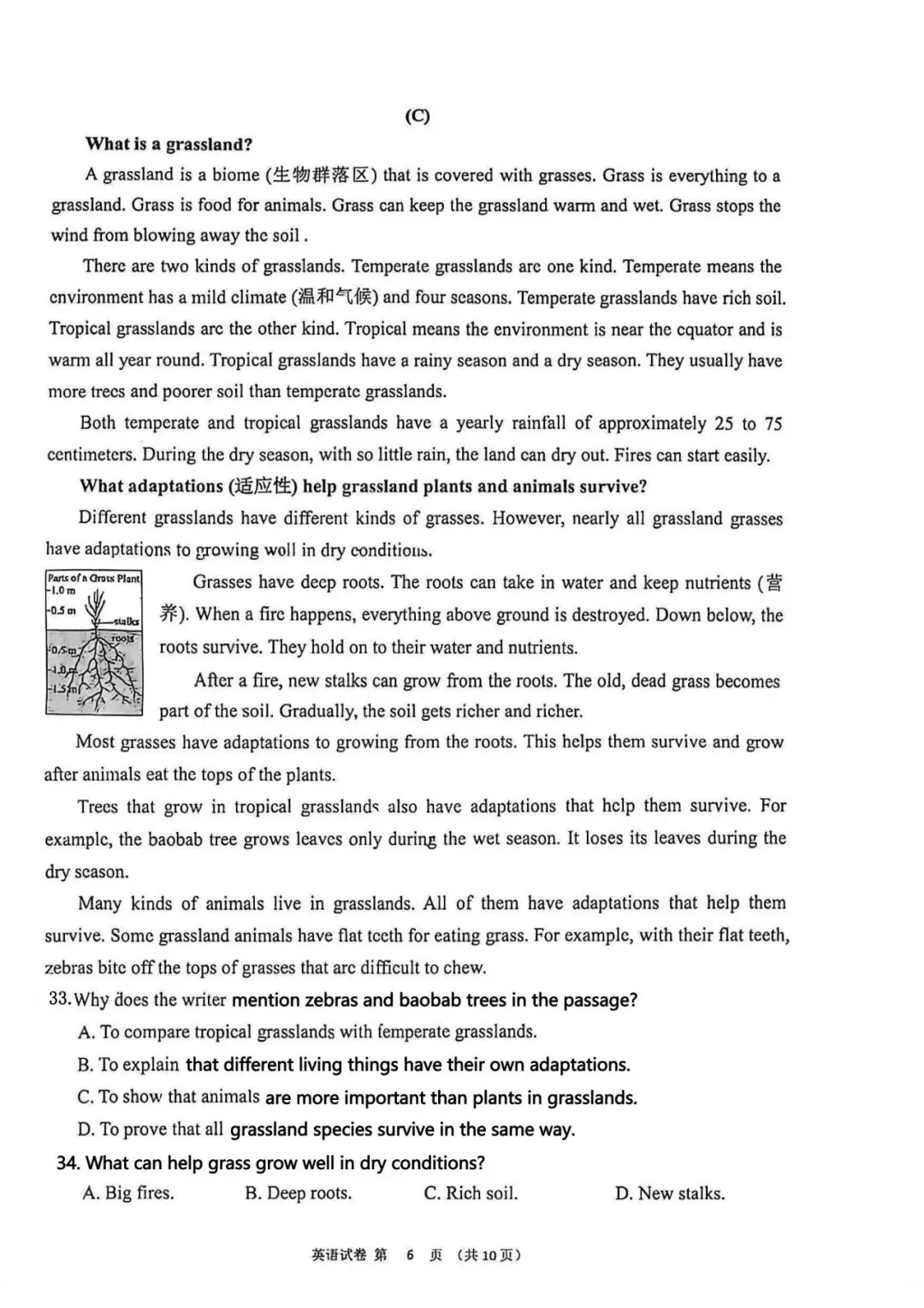 【洛溪中考】网传的2026年番禺区中考二模试卷给街坊参考-第25张图片-四季读书网