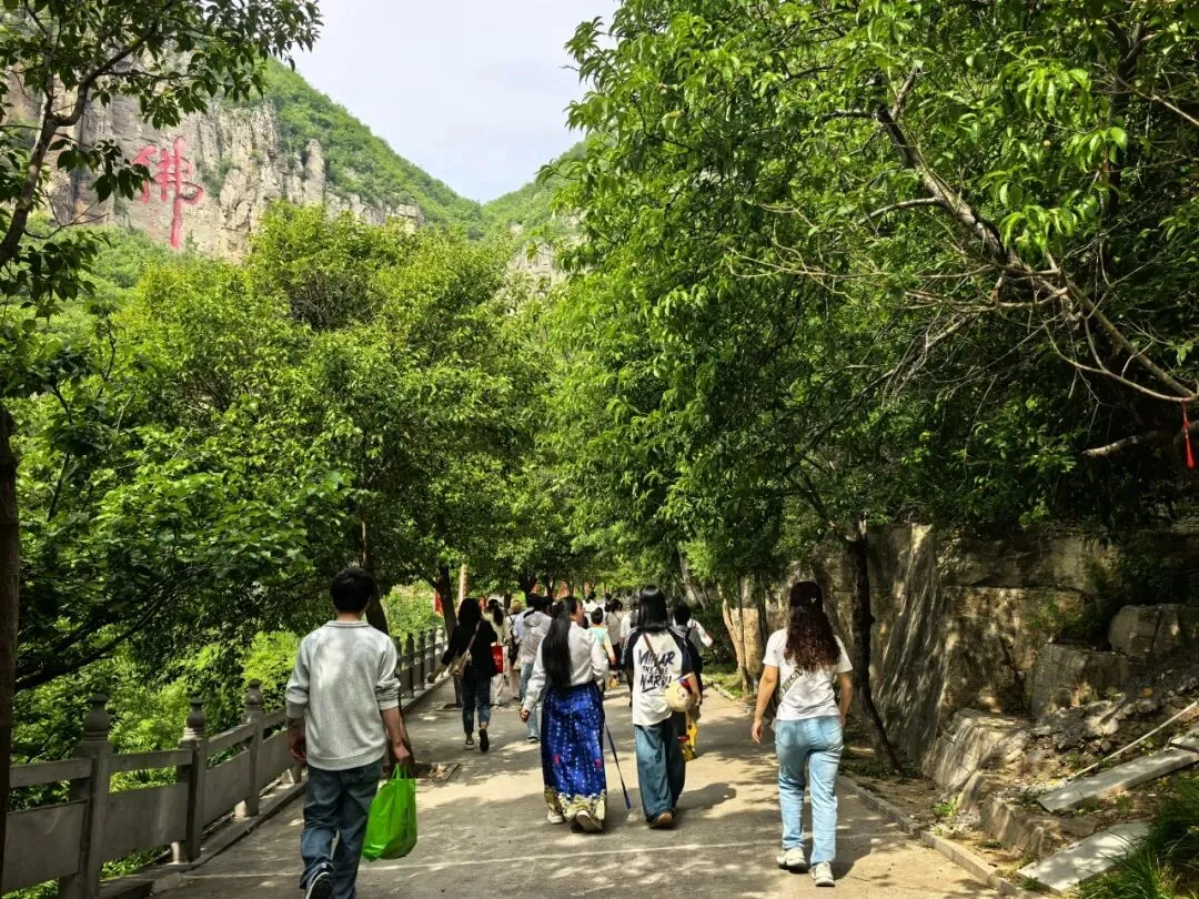 毕业季福利丨中考、高考学子免门票畅游朝阳山!-第14张图片-四季读书网 毕业季福利丨中考、高考学子免门票畅游朝阳山!-第14张图片-四季读书网