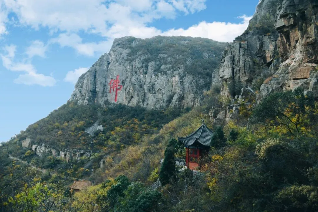 毕业季福利丨中考、高考学子免门票畅游朝阳山!-第17张图片-四季读书网 毕业季福利丨中考、高考学子免门票畅游朝阳山!-第17张图片-四季读书网