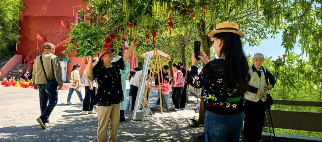 毕业季福利丨中考、高考学子免门票畅游朝阳山!-第18张图片-四季读书网 毕业季福利丨中考、高考学子免门票畅游朝阳山!-第18张图片-四季读书网