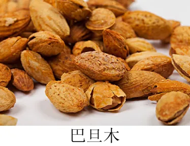 中考地理考前特训:《天气与气候及其影响》专题-第41张图片-四季读书网 中考地理考前特训:《天气与气候及其影响》专题-第41张图片-四季读书网