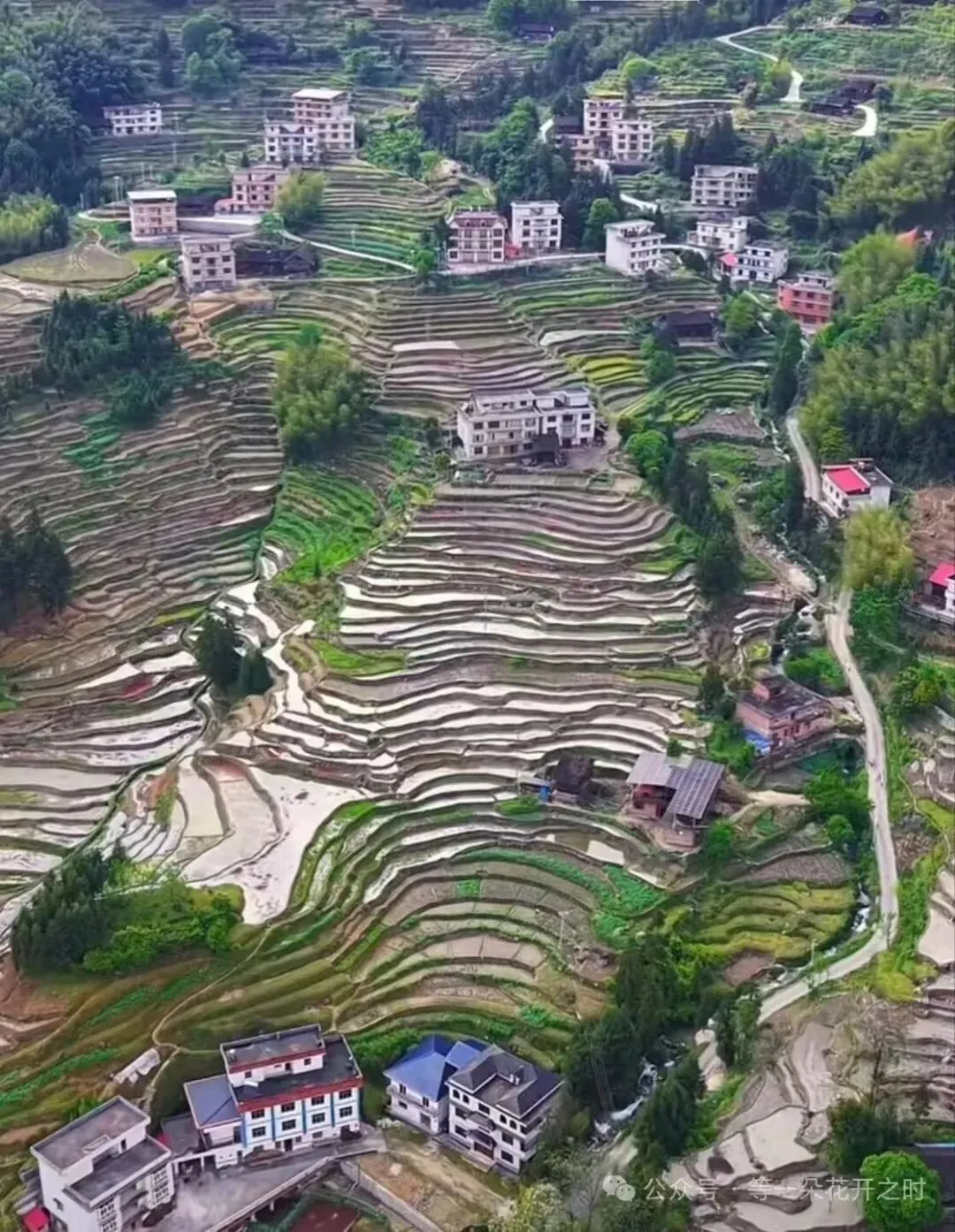 2026年全国高考作文真题导写与范例-第4张图片-四季读书网 2026年全国高考作文真题导写与范例-第4张图片-四季读书网