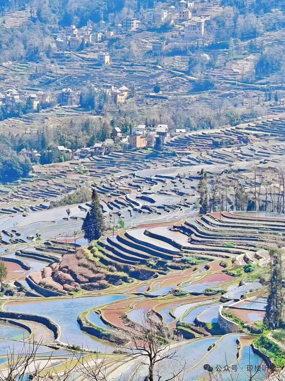 2026年全国高考作文真题导写与范例-第6张图片-四季读书网 2026年全国高考作文真题导写与范例-第6张图片-四季读书网