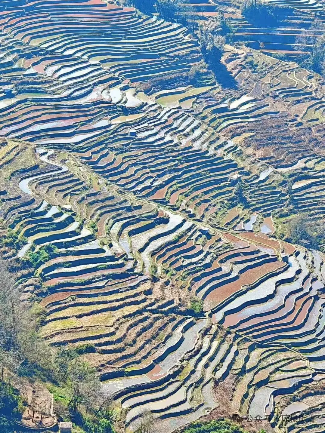 2026年全国高考作文真题导写与范例-第7张图片-四季读书网 2026年全国高考作文真题导写与范例-第7张图片-四季读书网