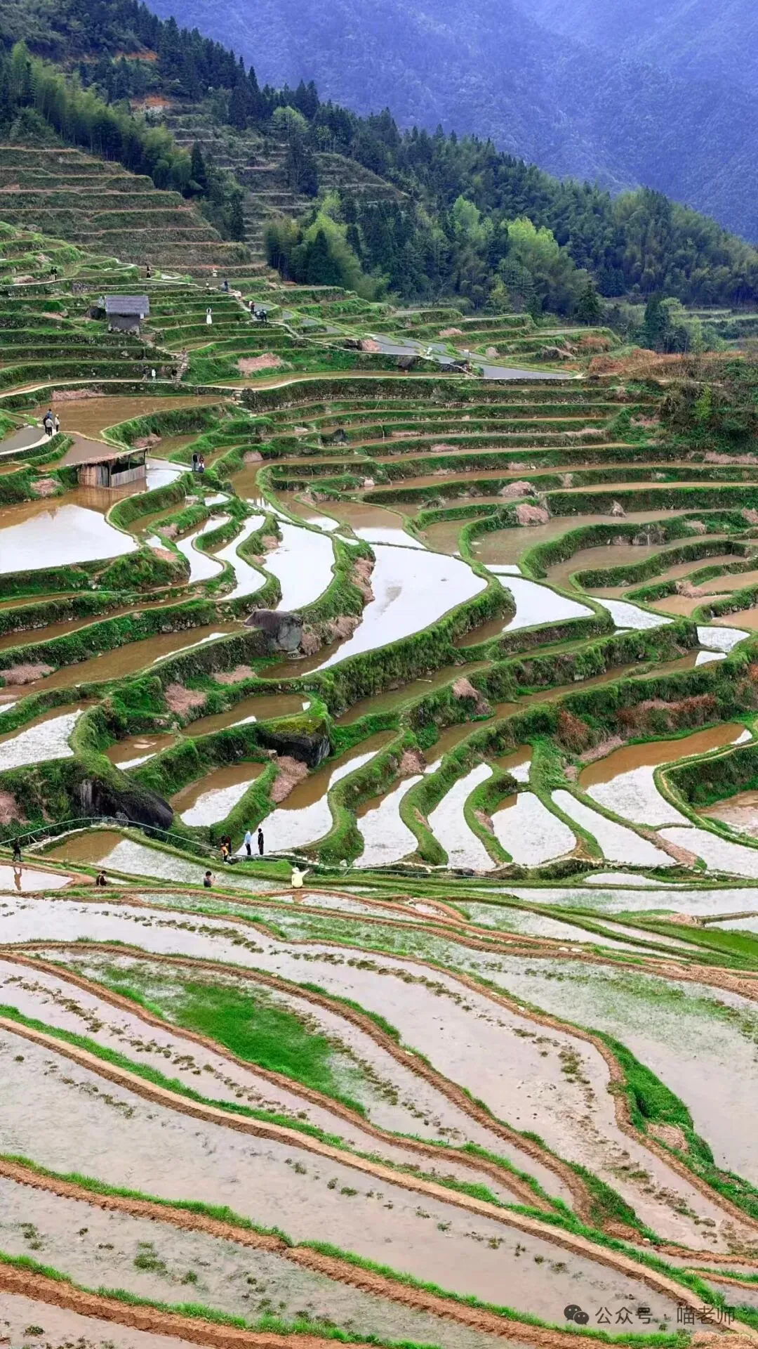 2026年全国高考作文真题导写与范例-第11张图片-四季读书网 2026年全国高考作文真题导写与范例-第11张图片-四季读书网