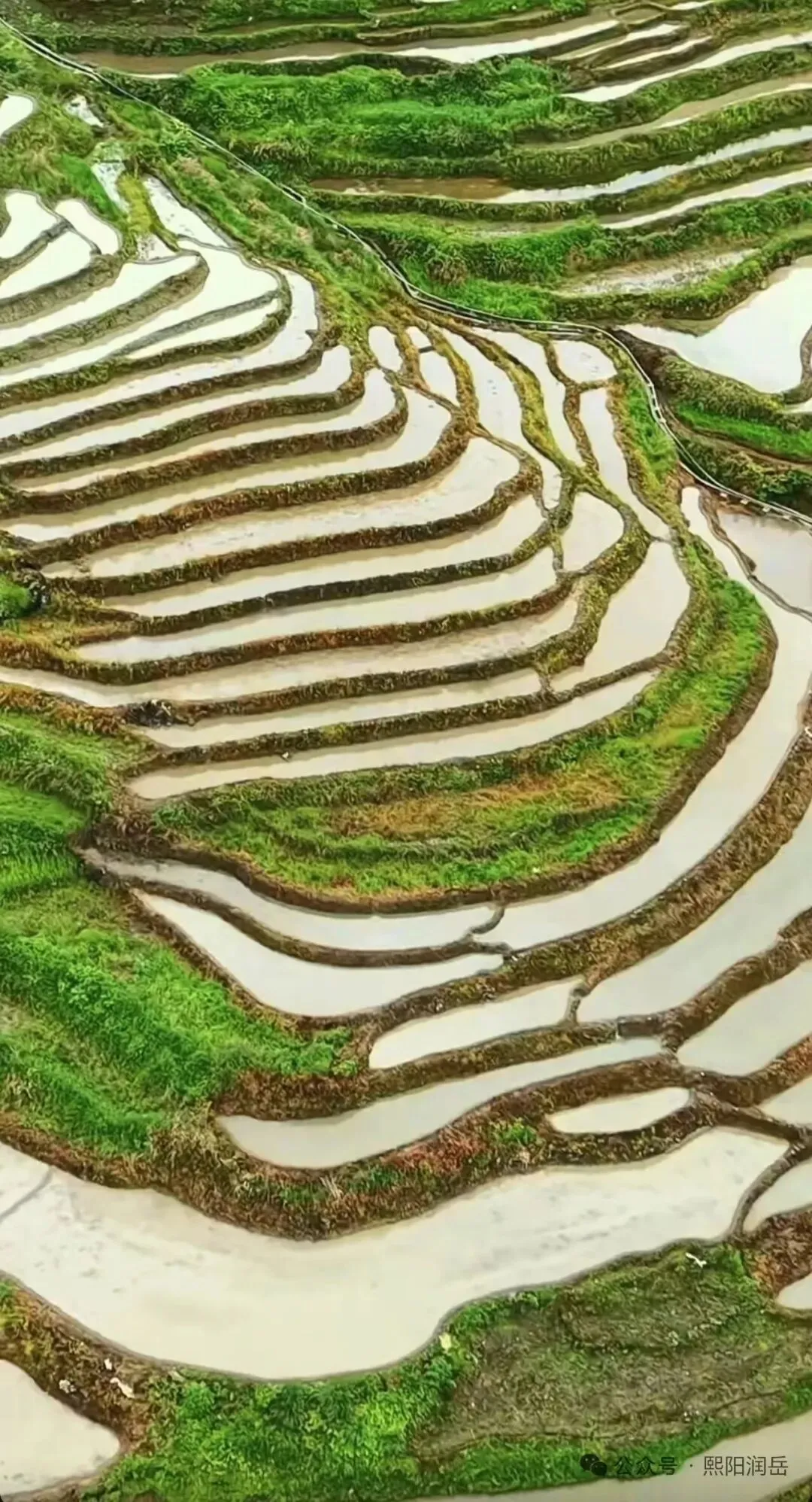 2026年全国高考作文真题导写与范例-第13张图片-四季读书网 2026年全国高考作文真题导写与范例-第13张图片-四季读书网
