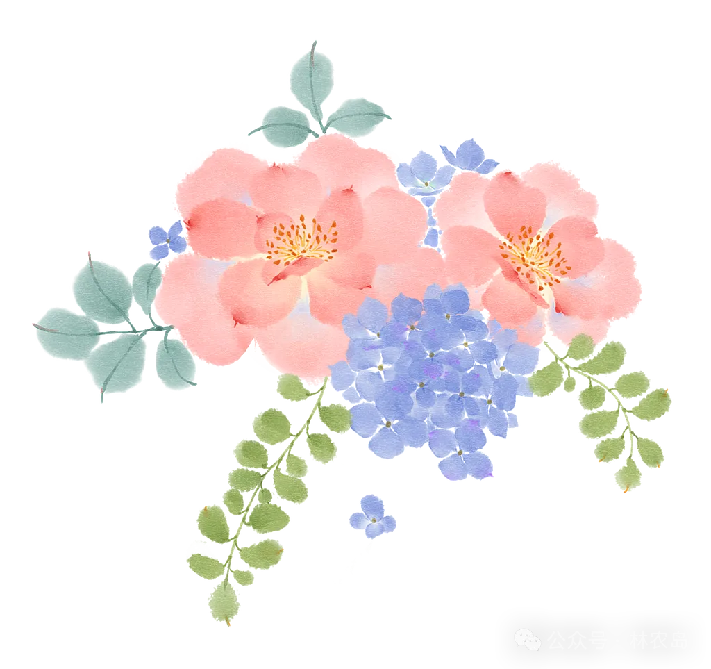 生物化学真题狂刷狂背|缓解焦虑的最好办法,就是去做让你焦虑的事-第3张图片-四季读书网