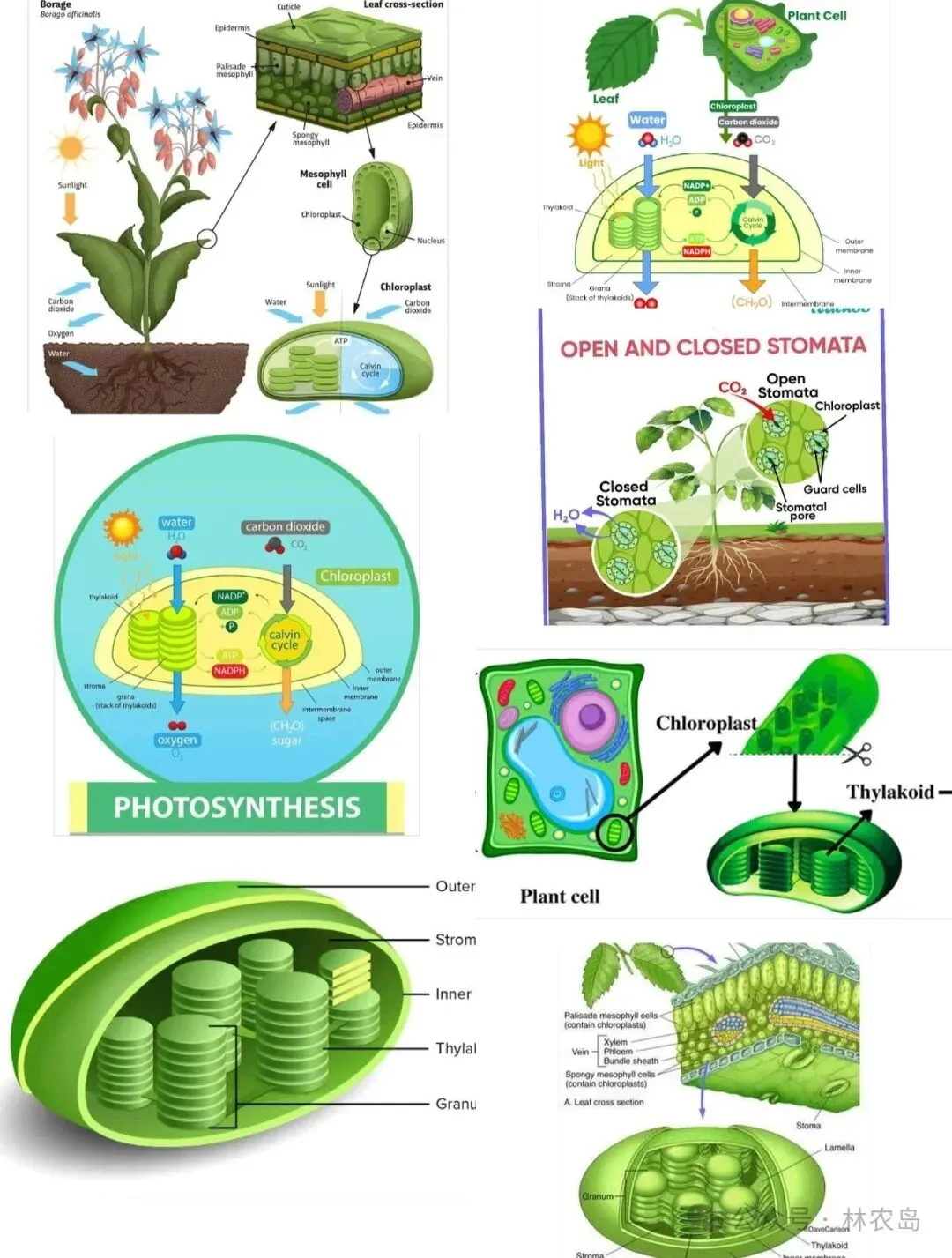 生物化学真题狂刷狂背|缓解焦虑的最好办法,就是去做让你焦虑的事-第8张图片-四季读书网