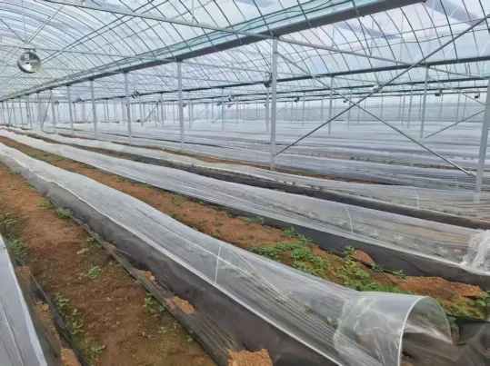 辽宁名校联盟2026届高三下学期考前模拟考试地理试题(解析版)-第4张图片-四季读书网
