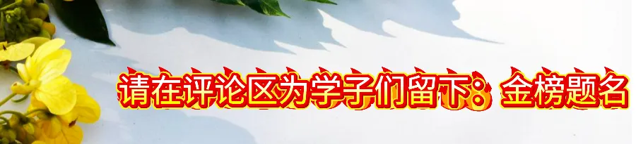 模考480,中考560,她做对了什么-第4张图片-四季读书网