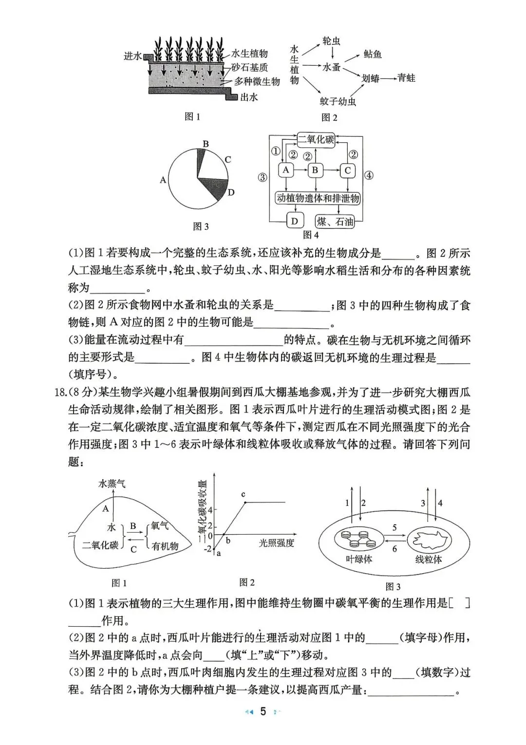 中考/地生中考/2026中考生物模拟卷二-第5张图片-四季读书网