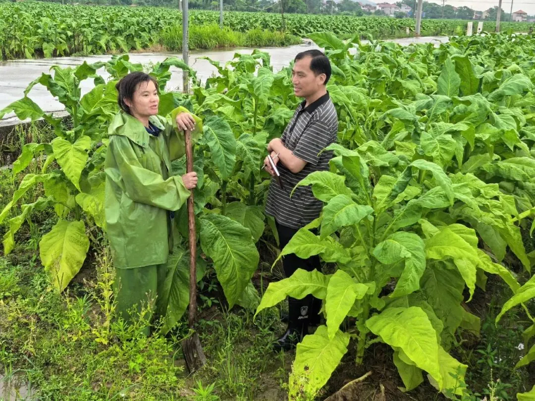 吉安市2026年中考招生新规-第5张图片-四季读书网