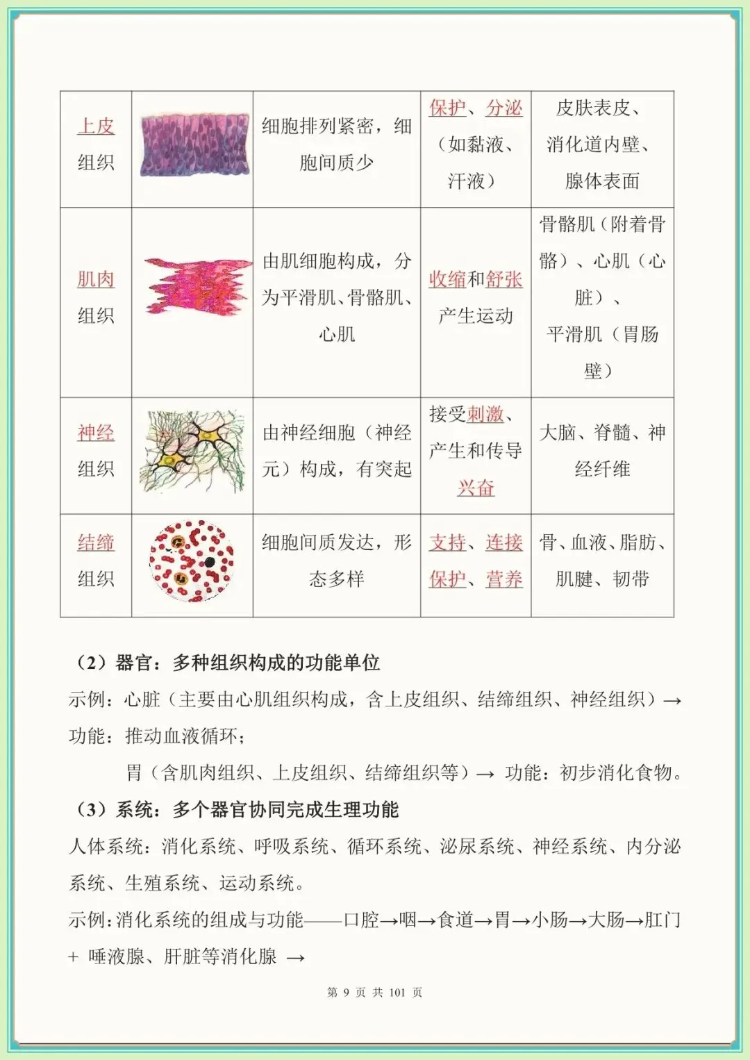 【生物会考高频考点】中考生物必背考点汇总(108大考点)(全国通用可下载打印)-第7张图片-四季读书网