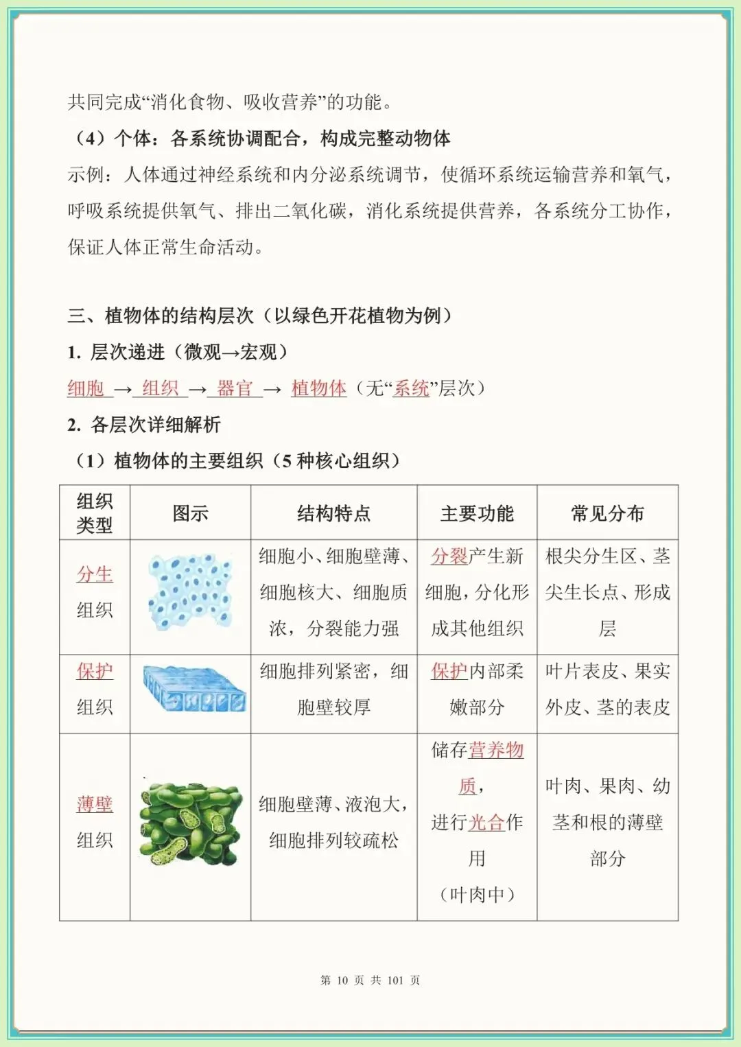 【生物会考高频考点】中考生物必背考点汇总(108大考点)(全国通用可下载打印)-第8张图片-四季读书网