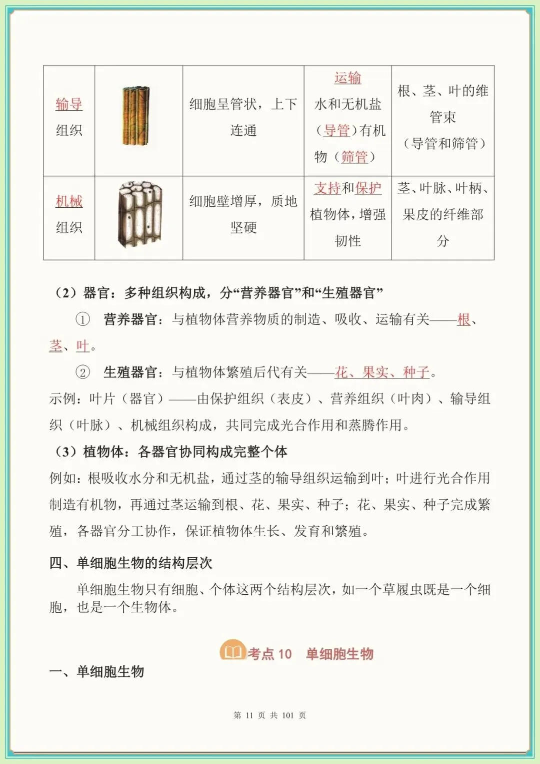 【生物会考高频考点】中考生物必背考点汇总(108大考点)(全国通用可下载打印)-第9张图片-四季读书网