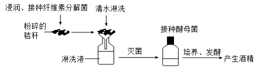 2026年年巴彦淖尔八年级生物第二次模拟考试-第3张图片-四季读书网 2026年年巴彦淖尔八年级生物第二次模拟考试-第3张图片-四季读书网