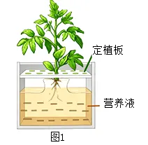 2026年年巴彦淖尔八年级生物第二次模拟考试-第7张图片-四季读书网 2026年年巴彦淖尔八年级生物第二次模拟考试-第7张图片-四季读书网