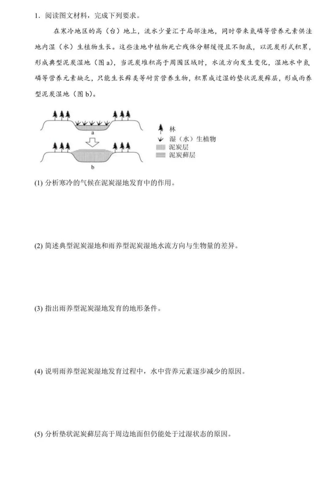 真题解析|2024年全国新课标卷雨养型泥炭湿地-第1张图片-四季读书网