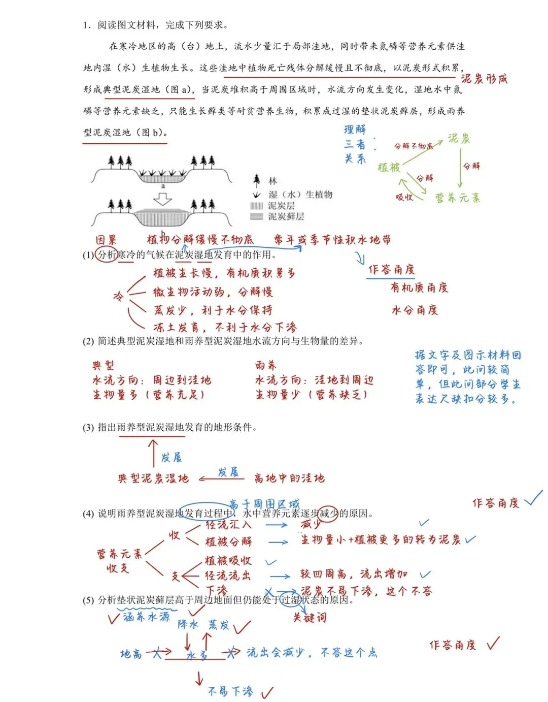 真题解析|2024年全国新课标卷雨养型泥炭湿地-第2张图片-四季读书网
