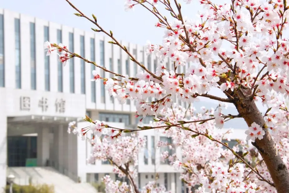 中考招生|江苏省交通技师学院2026年招生简章-第7张图片-四季读书网