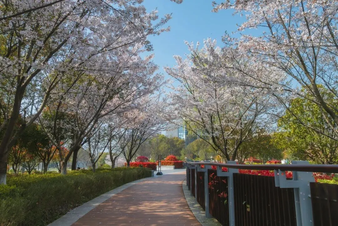 中考招生|江苏省交通技师学院2026年招生简章-第8张图片-四季读书网