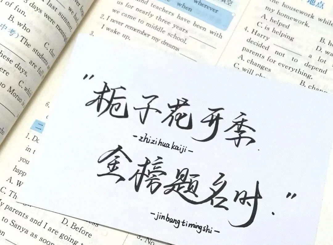 那一年,我17岁,用一张试卷回答世界-第1张图片-四季读书网 那一年,我17岁,用一张试卷回答世界-第1张图片-四季读书网
