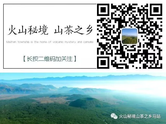 多措并举除隐患 全力护航中考季——马站乡扎实开展考前校园安全联合整治行动-第7张图片-四季读书网 多措并举除隐患 全力护航中考季——马站乡扎实开展考前校园安全联合整治行动-第7张图片-四季读书网