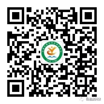 告别试卷,“玩”出精彩——九龙城区教育督导责任区无纸笔测评开启期末新体验-第9张图片-四季读书网 告别试卷,“玩”出精彩——九龙城区教育督导责任区无纸笔测评开启期末新体验-第9张图片-四季读书网
