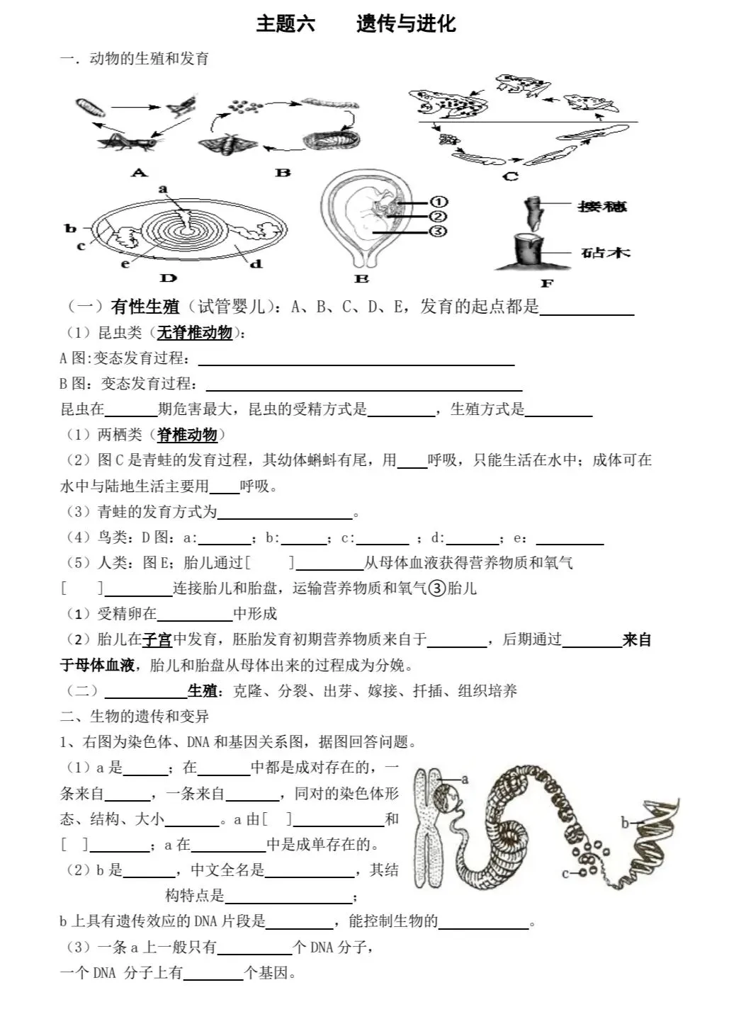 初中生物中考复习主题练习 主题六-第1张图片-四季读书网