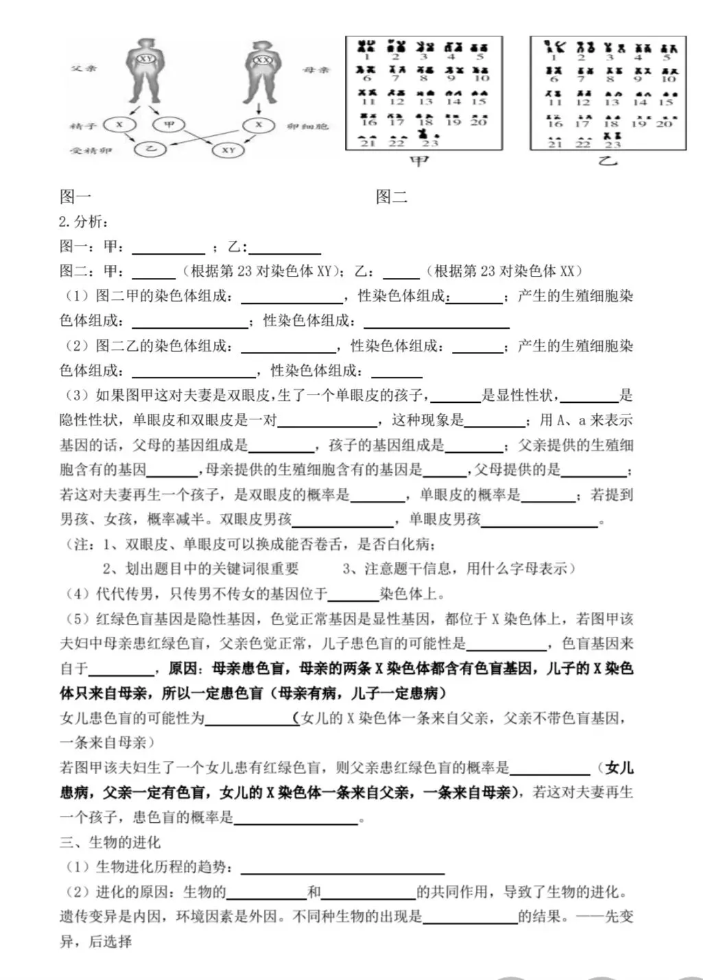 初中生物中考复习主题练习 主题六-第2张图片-四季读书网