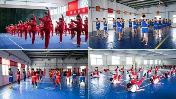 中考后择校关键!初三毕业生注意,这一步直接决定未来!-第8张图片-四季读书网 中考后择校关键!初三毕业生注意,这一步直接决定未来!-第8张图片-四季读书网