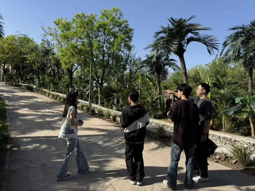 真题驱动|森·艺术陈设 * 栖合营造,解锁浐灞九溪营地的艺术与实践共生(下篇)-第3张图片-四季读书网 真题驱动|森·艺术陈设 * 栖合营造,解锁浐灞九溪营地的艺术与实践共生(下篇)-第3张图片-四季读书网